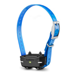 PT 10 Dog Device with Blue Collar Strap