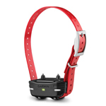 PT 10 Dog Device with Red Collar Strap