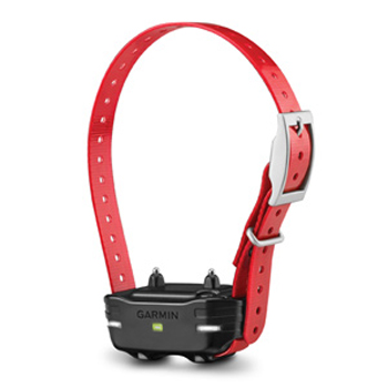 PT 10 Dog Device with Red Collar Strap
