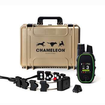 Chameleon IV with CTT4 & Finger Kick