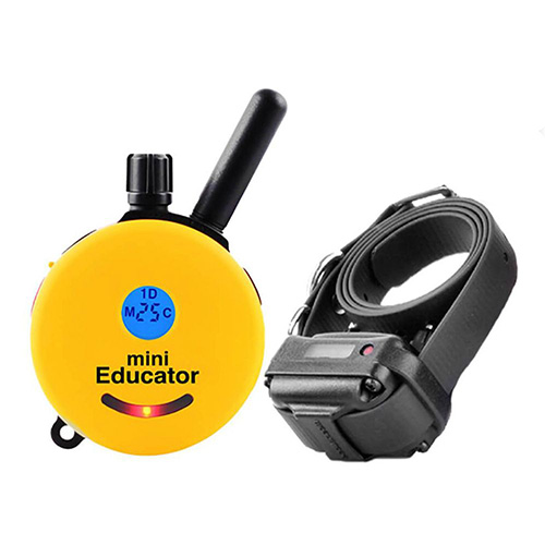 Mini Educator Remote Dog Trainer