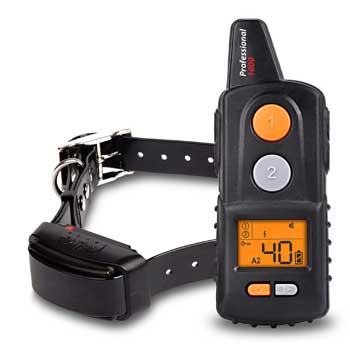 Dogtrace Professional 1000