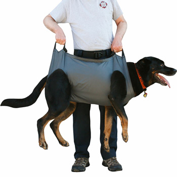 Special Operations Lightweight K-9 Litter