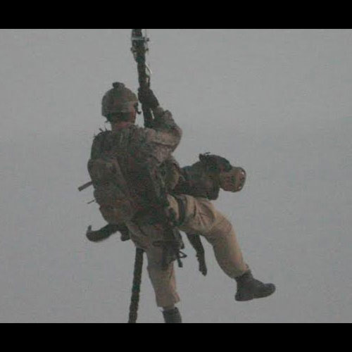 Fast Rope Descender