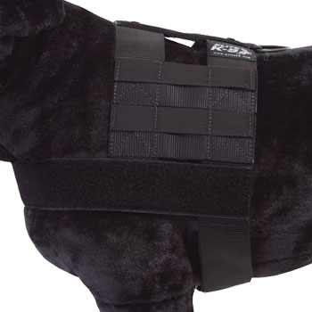 SSD Modular Patrol Harness - Black