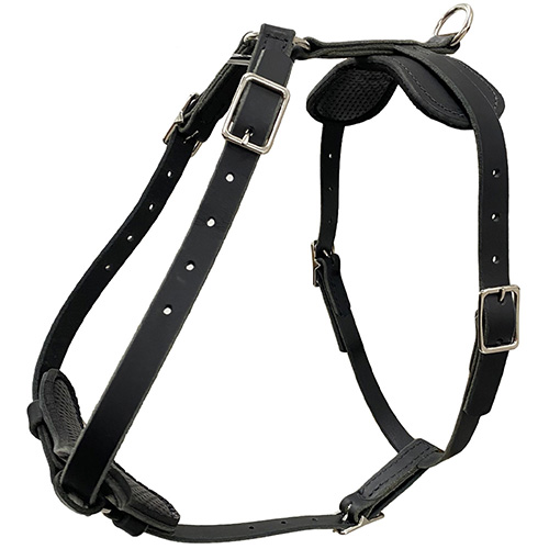 Voyager Leather Tracking Harness (Small to Medium Dogs)