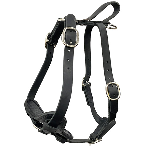 Leather Tracking/Agitation Harness with Neoprene Padding and