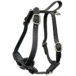 Leather Tracking/Agitation Harness with Neoprene Padding and