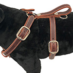 Burgandy Leather Tracking/Agitation Harness