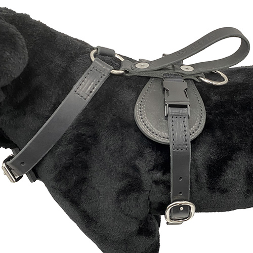 Quick Release Leather Tracking Harness