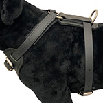 Biothane 3-Point Agitation/Tracking Harness