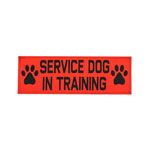 Service Dog In Training Velcro Patch