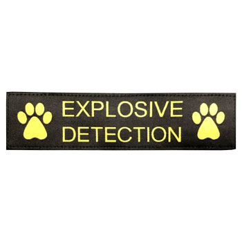 Explosive Detection 4