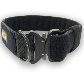 Belmont Dog Collar in Jet Black & Gold - PUCCI Café