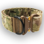 Multicam 2