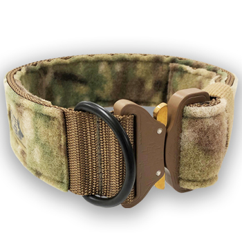 Multicam 2