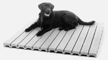 Kennel Deck