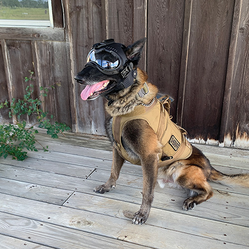K9 Helm CS1-A2 GoggleHelm