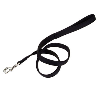 6' X 1 Nylon Lead