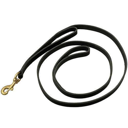 6' Leather Leash with Two Handles