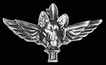 Israel Defense Forces Anti -Terrorist / New Style Lapel Pin