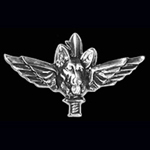 Israel Defense Forces Anti -Terrorist / New Style Lapel Pin