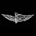 Israel Defense Forces Anti -Terrorist / Original Lapel Pin