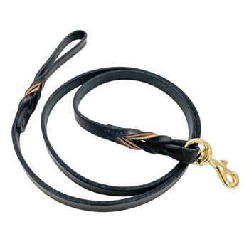TSA 6' Braided Leather Lead