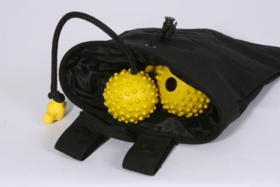 Collapsible Ball & Treat Pouch