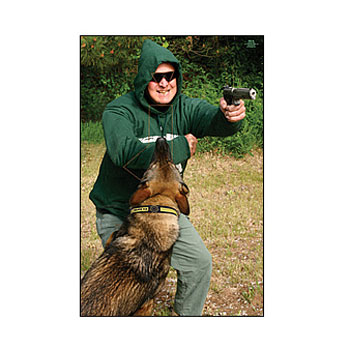 K-9 Scenario Based Shooting Target - A