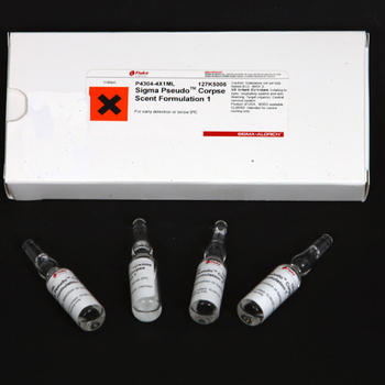 Sigma Pseudo corpse scent 2