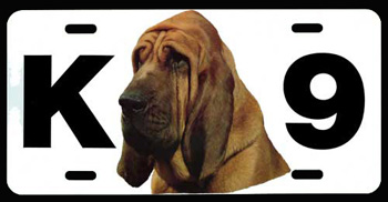 License Plate with Bloodhound