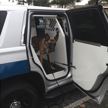 2015 - 2020 | Tahoe K-9 Transport