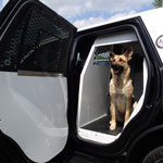 2018 - 2020 | Ford Expedition K-9 Transport
