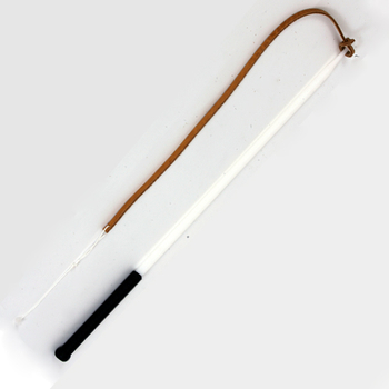 Agitation Whip 19.5